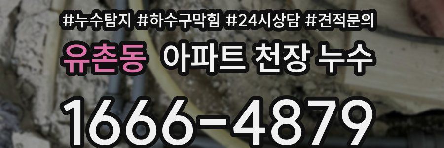유촌동 아파트 천장 누수