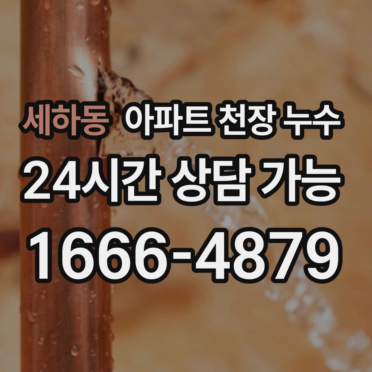 세하동 아파트 천장 누수