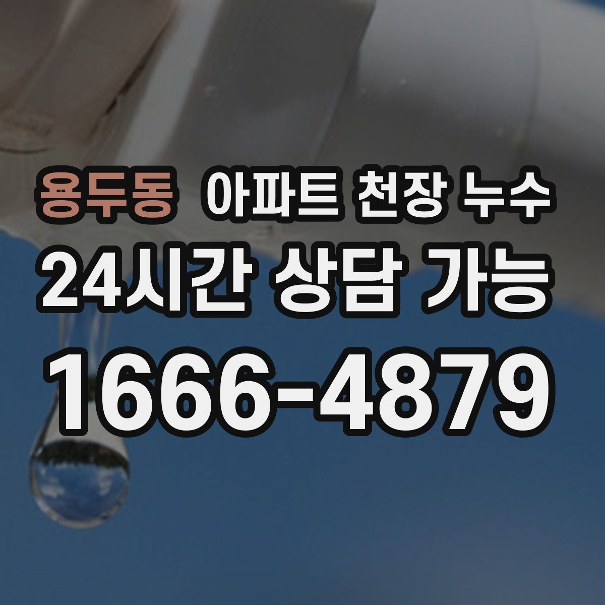 용두동 아파트 천장 누수