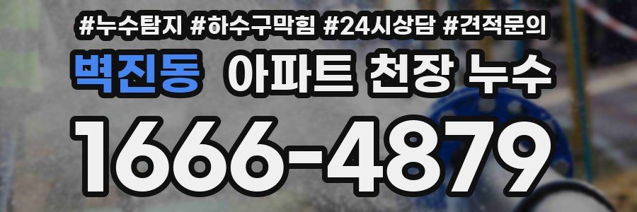 벽진동 아파트 천장 누수