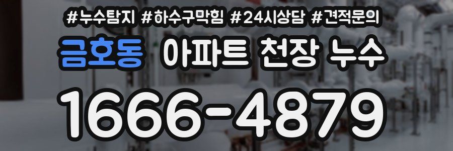 금호동 아파트 천장 누수