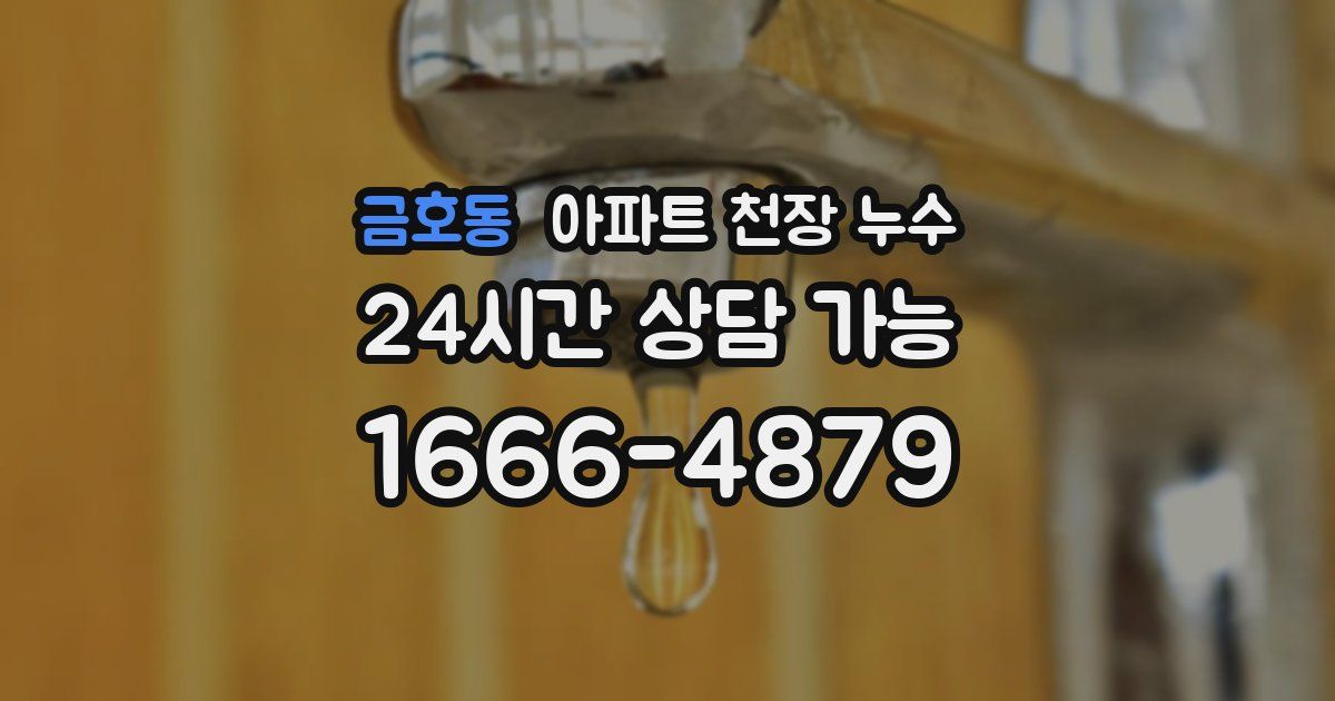 금호동 아파트 천장 누수