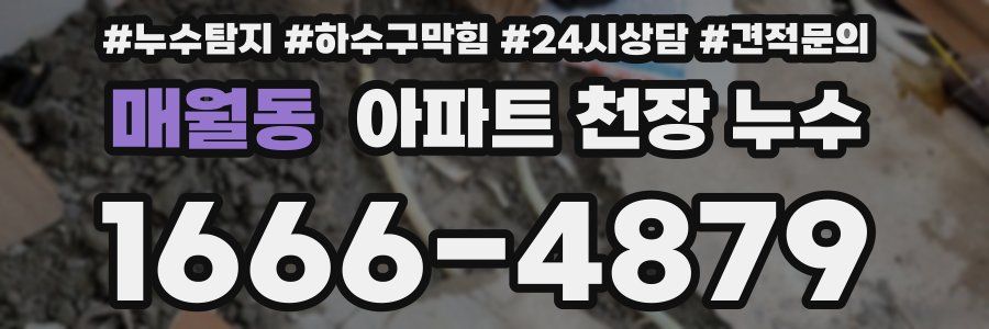 매월동 아파트 천장 누수