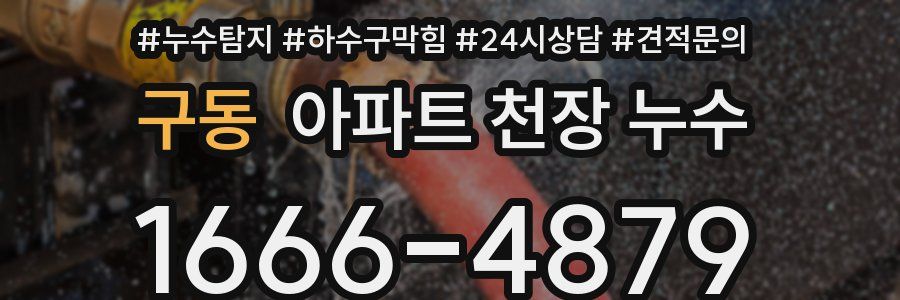 구동 아파트 천장 누수