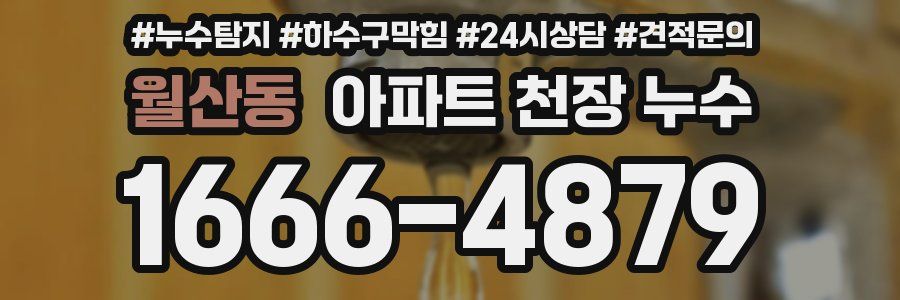 월산동 아파트 천장 누수