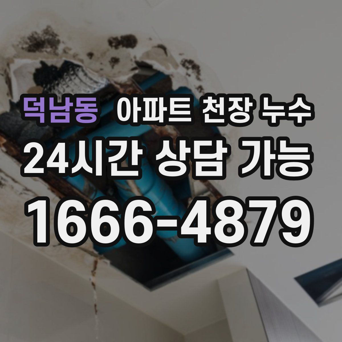 덕남동 아파트 천장 누수
