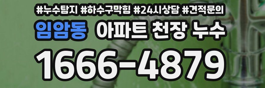 임암동 아파트 천장 누수