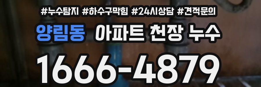 양림동 아파트 천장 누수