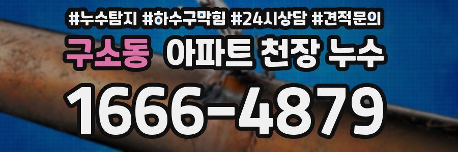 구소동 아파트 천장 누수