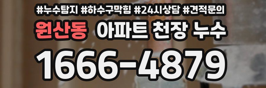 원산동 아파트 천장 누수