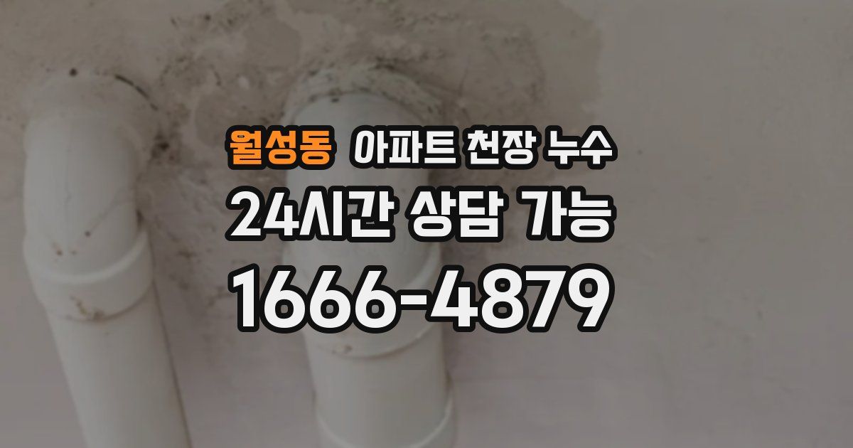 월성동 아파트 천장 누수