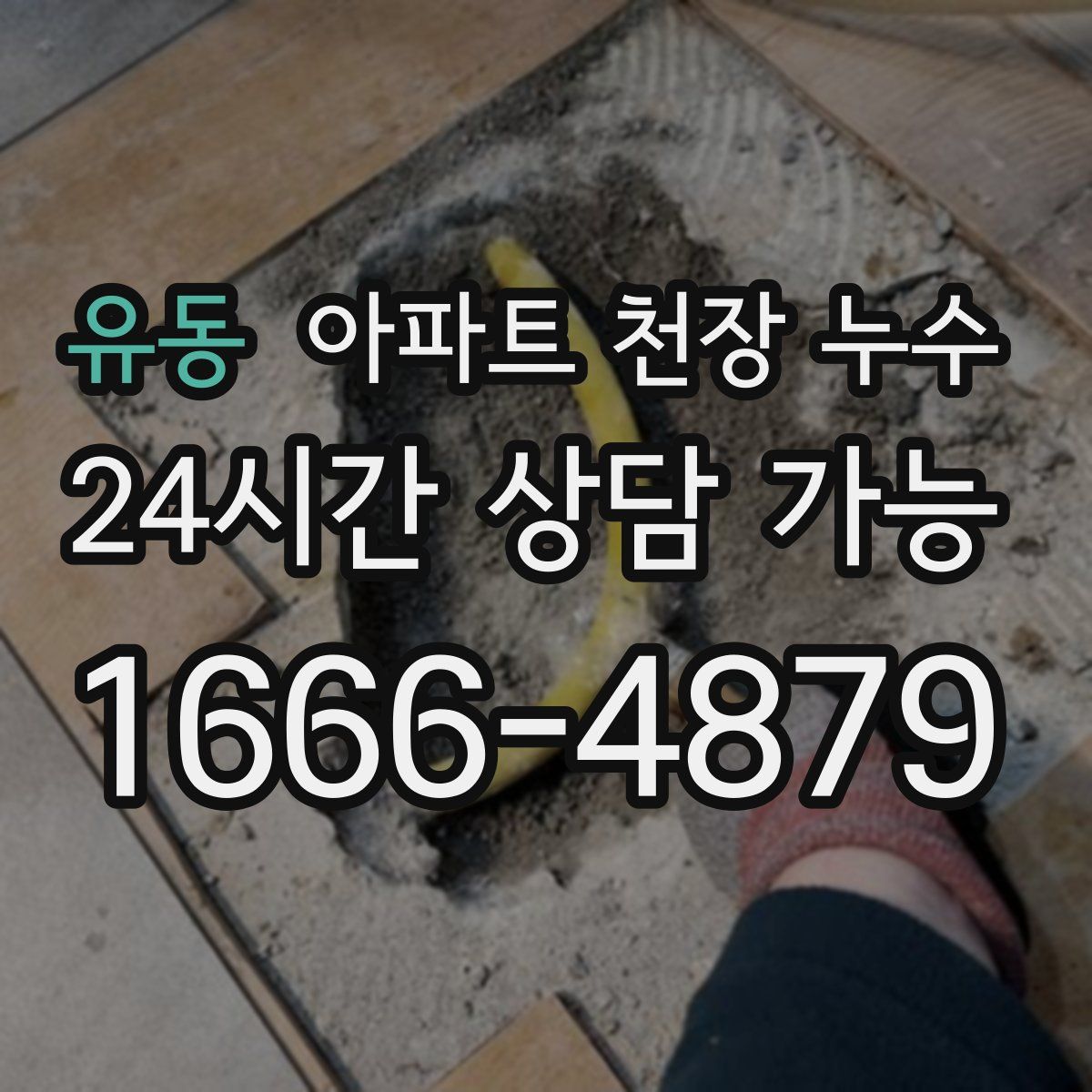 유동 아파트 천장 누수