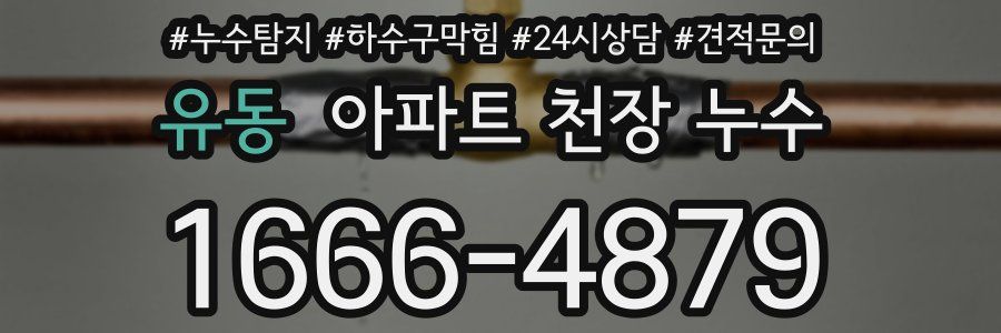 유동 아파트 천장 누수