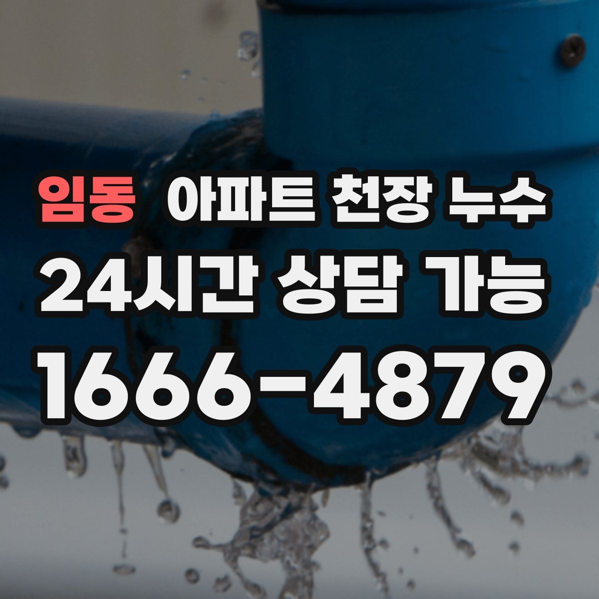 임동 아파트 천장 누수