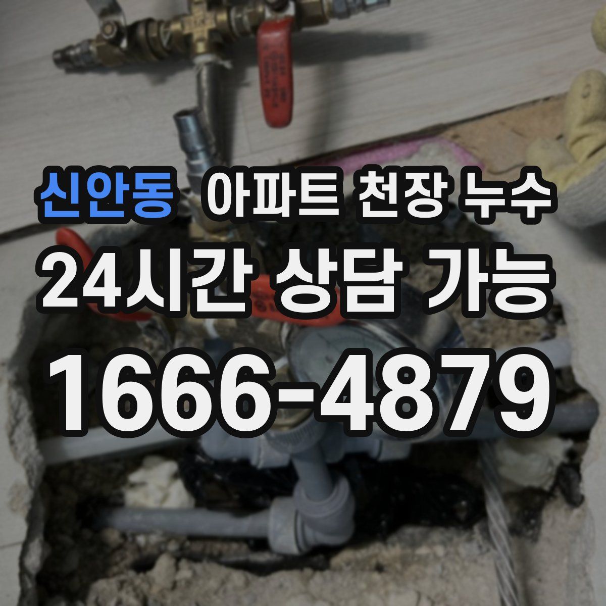 신안동 아파트 천장 누수