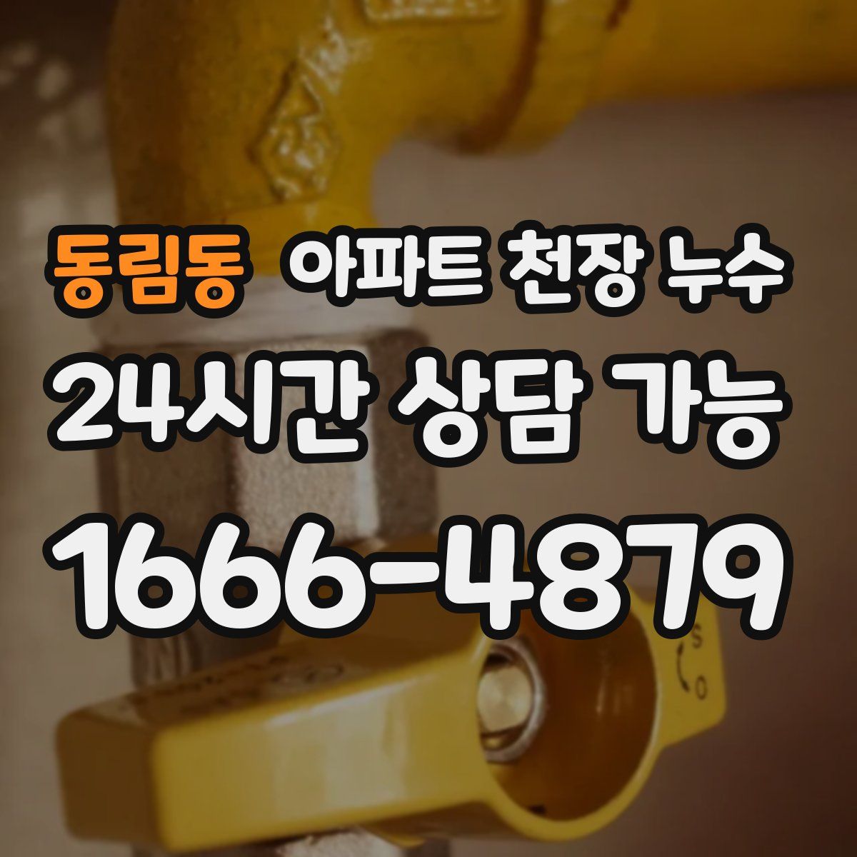 동림동 아파트 천장 누수