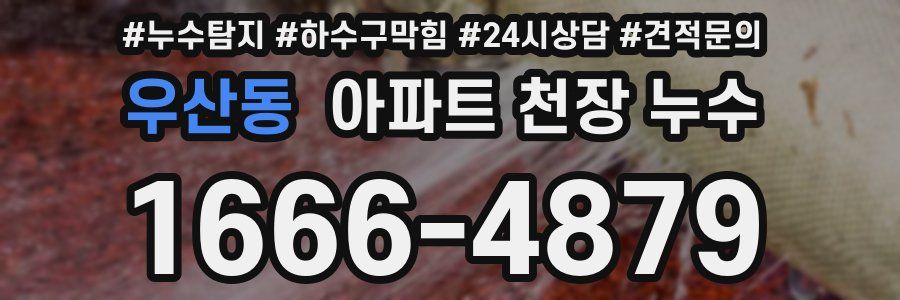 우산동 아파트 천장 누수