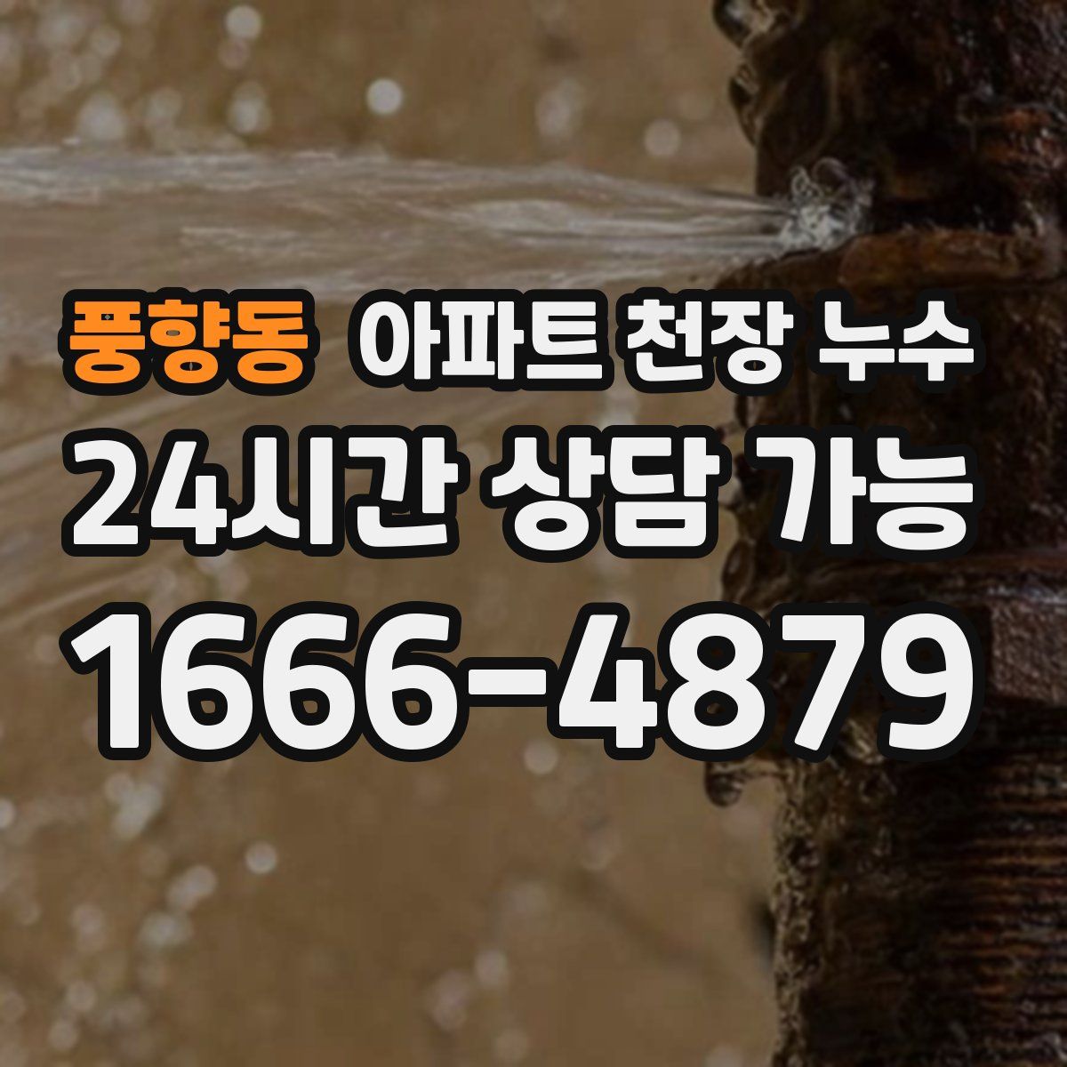 풍향동 아파트 천장 누수
