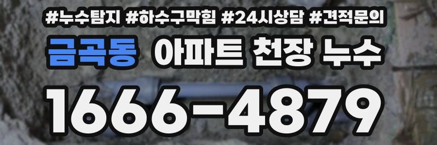 금곡동 아파트 천장 누수