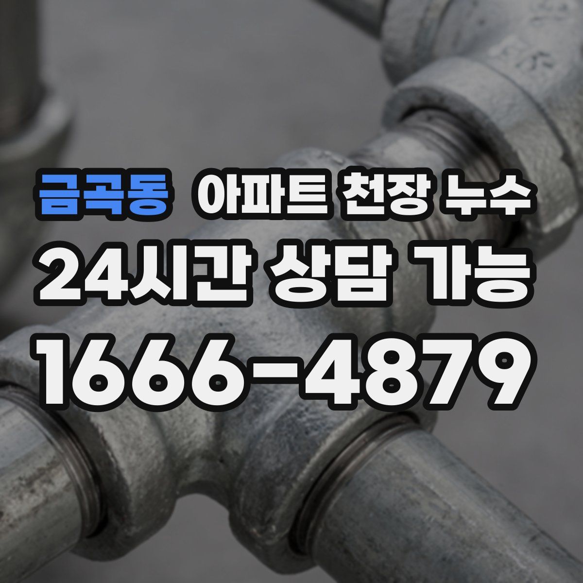 금곡동 아파트 천장 누수