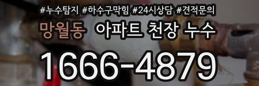 망월동 아파트 천장 누수