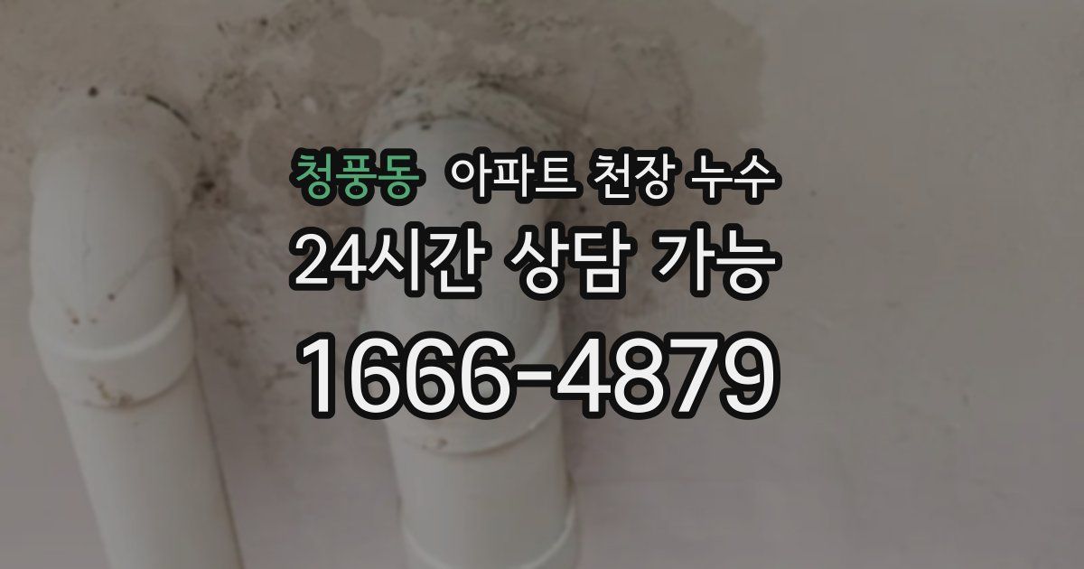 청풍동 아파트 천장 누수