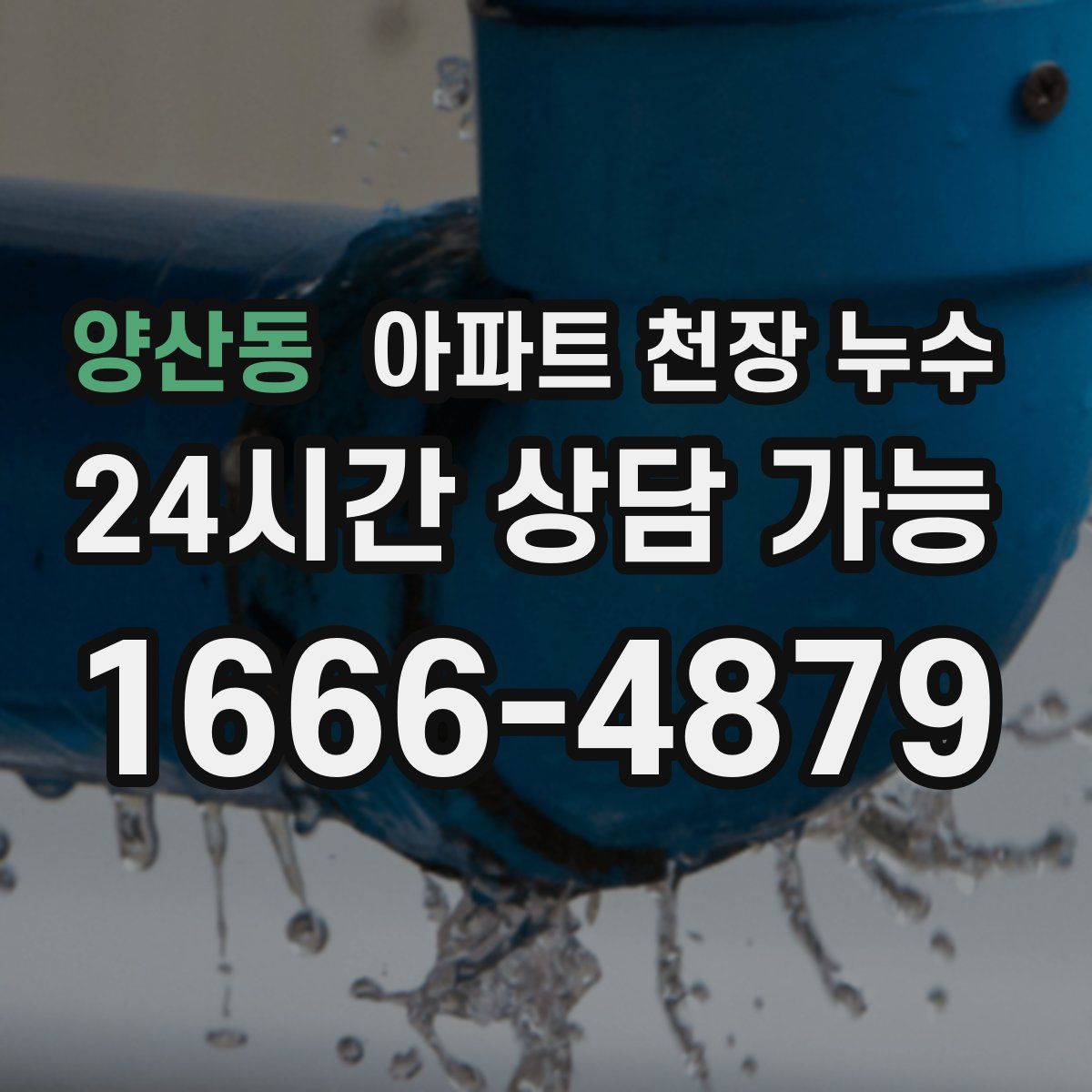 양산동 아파트 천장 누수