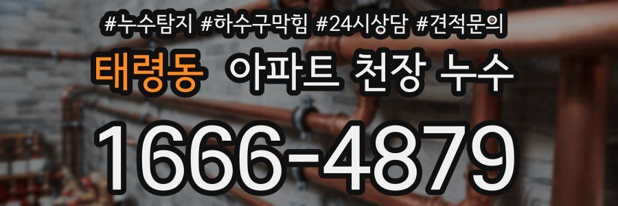 태령동 아파트 천장 누수