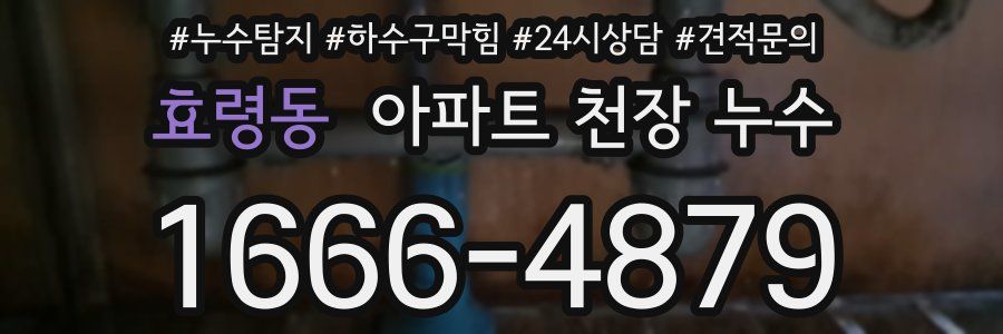 효령동 아파트 천장 누수