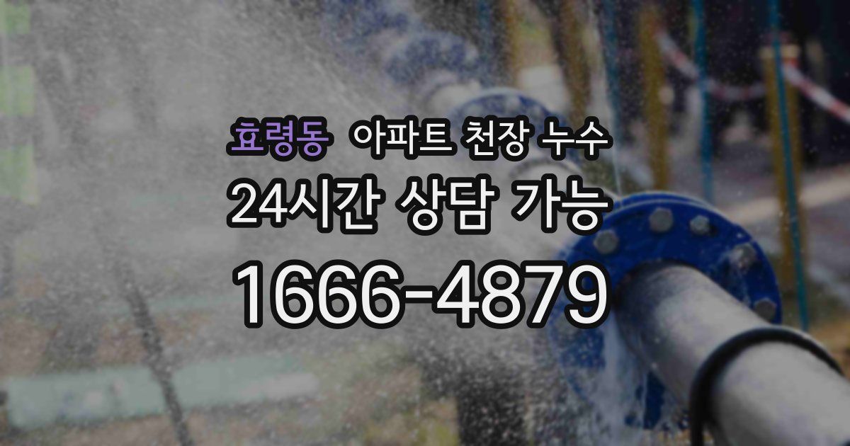 효령동 아파트 천장 누수