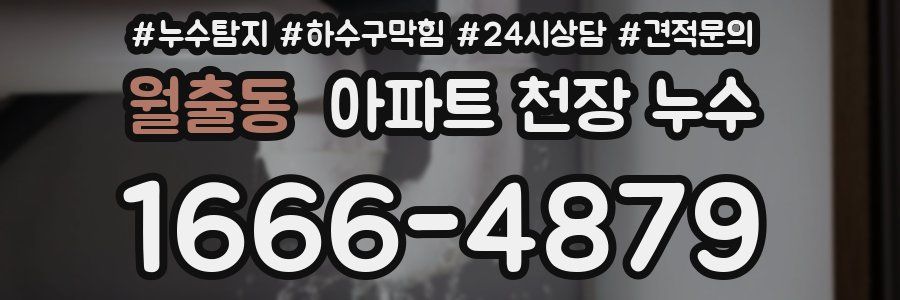 월출동 아파트 천장 누수