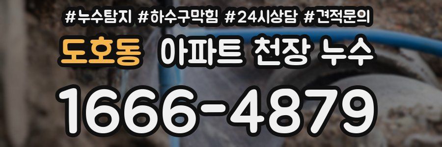 도호동 아파트 천장 누수