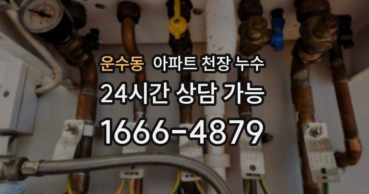 운수동 아파트 천장 누수