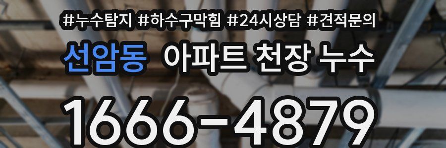 선암동 아파트 천장 누수