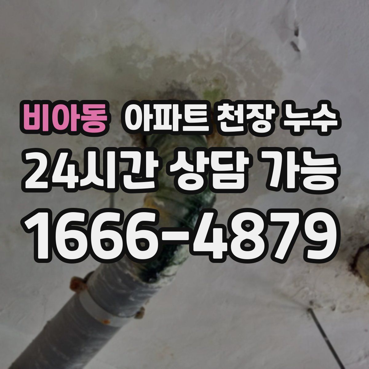 비아동 아파트 천장 누수