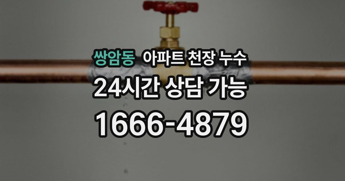 쌍암동 아파트 천장 누수
