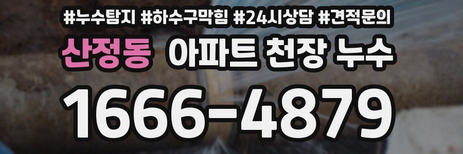 산정동 아파트 천장 누수