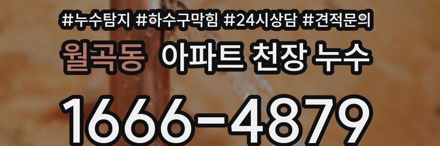 월곡동 아파트 천장 누수