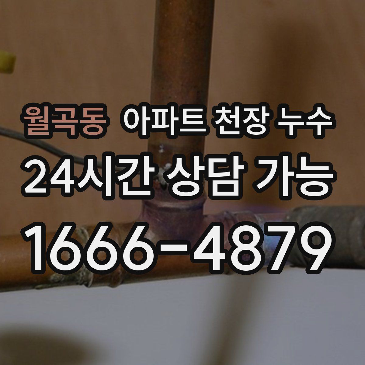 월곡동 아파트 천장 누수