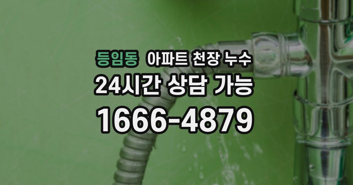 등임동 아파트 천장 누수