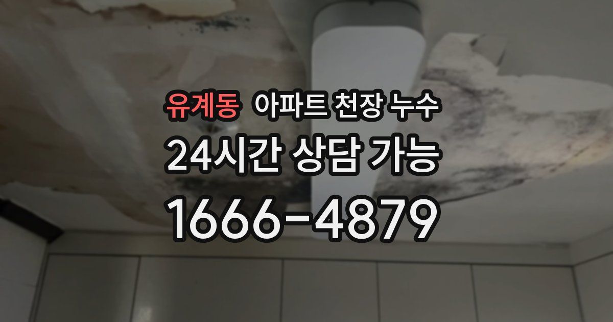 유계동 아파트 천장 누수