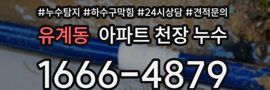 유계동 아파트 천장 누수