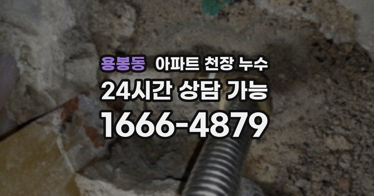 용봉동 아파트 천장 누수