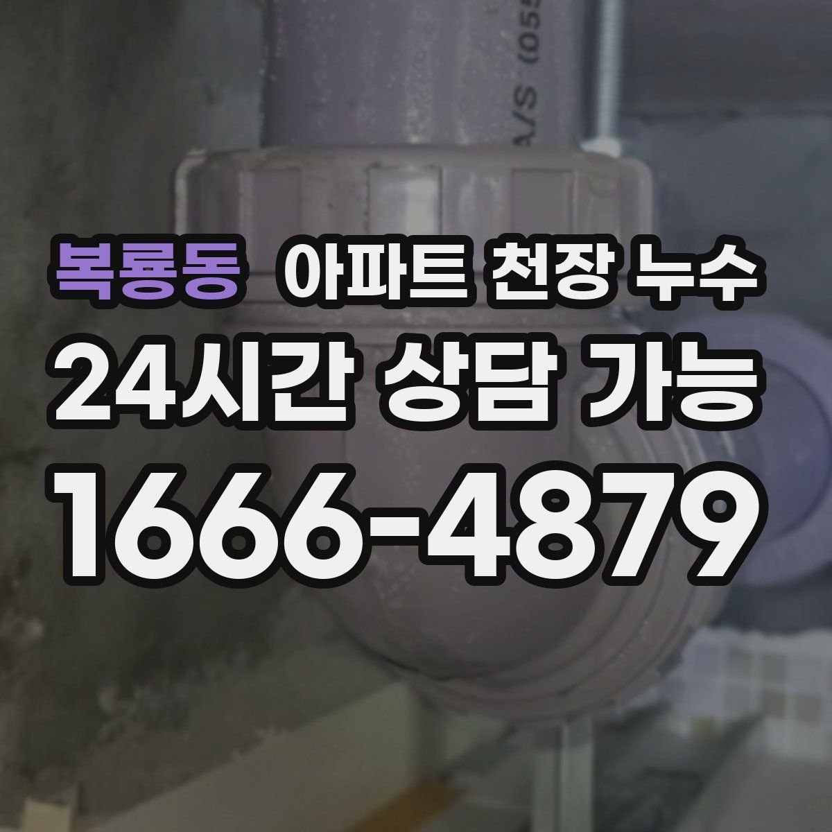 복룡동 아파트 천장 누수