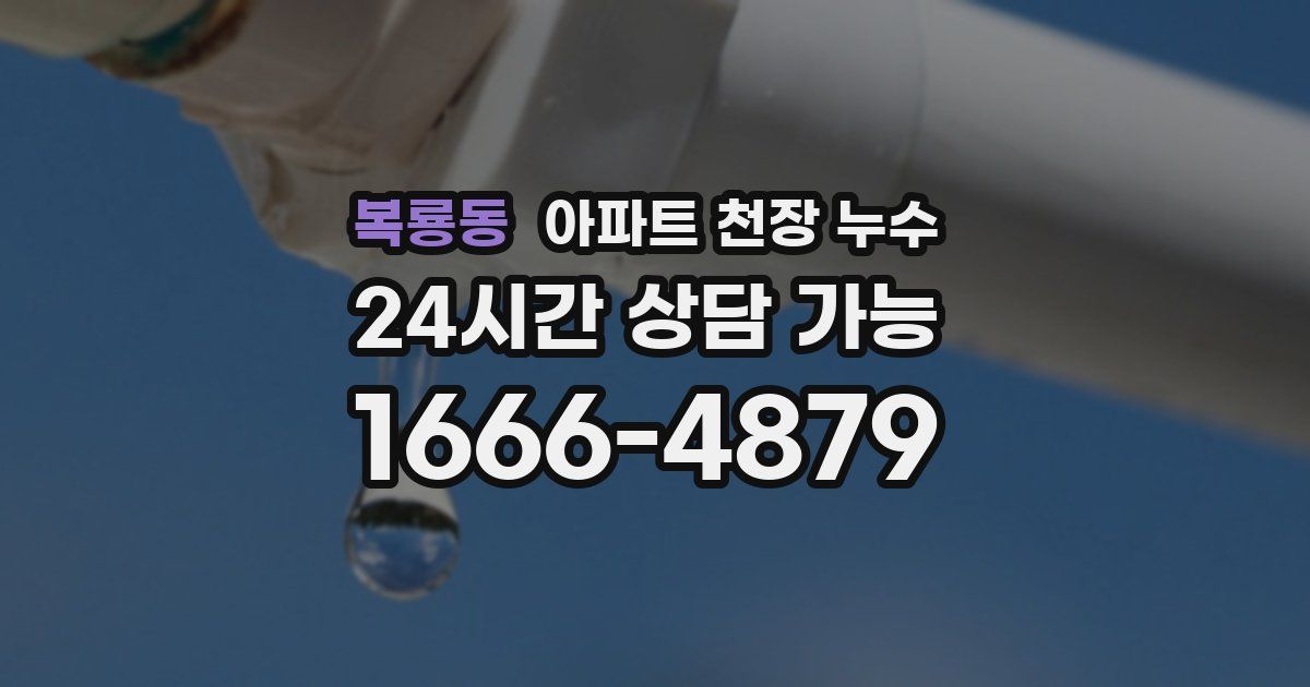 복룡동 아파트 천장 누수