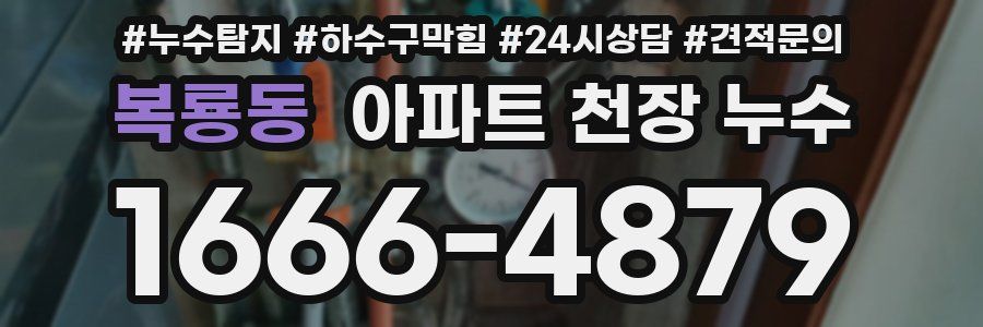 복룡동 아파트 천장 누수