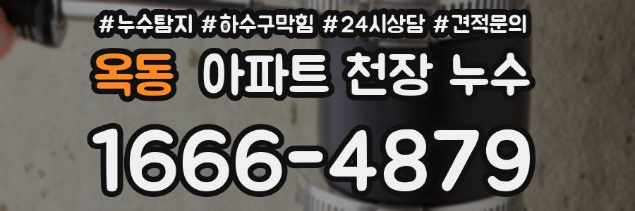옥동 아파트 천장 누수