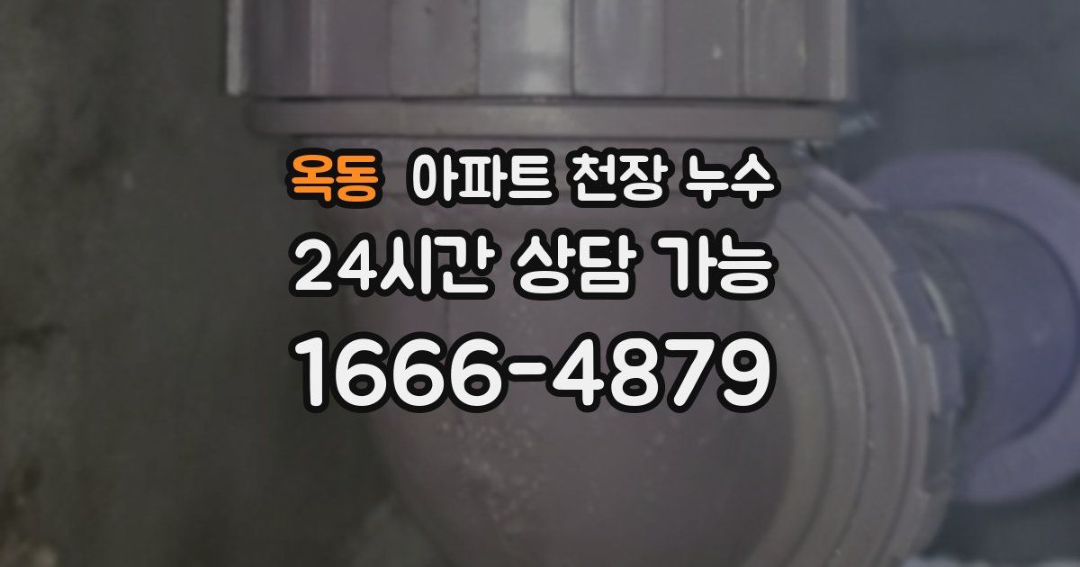 옥동 아파트 천장 누수