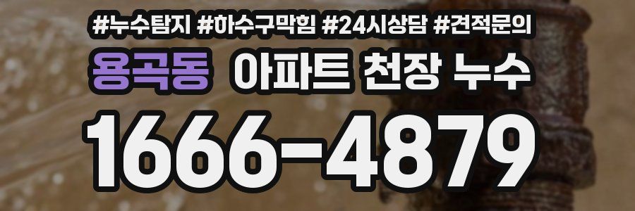용곡동 아파트 천장 누수