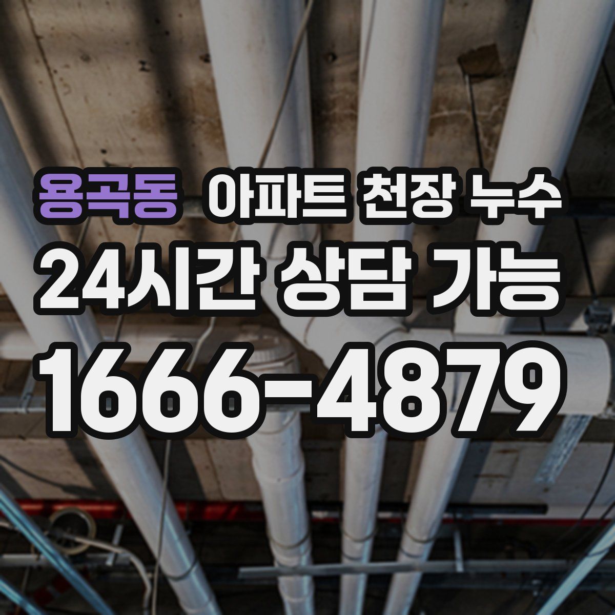 용곡동 아파트 천장 누수